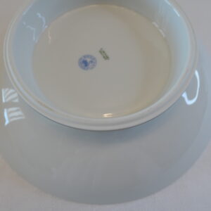 plat pied douche raynaud limoges