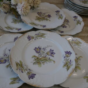 6 assiettes à hors d'œuvres albert pillivuyt limoges