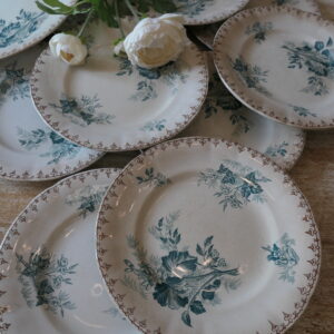 7 assiettes plates u et c sarreguemines